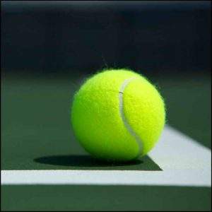 How Much Does a Tennis Ball Weigh 